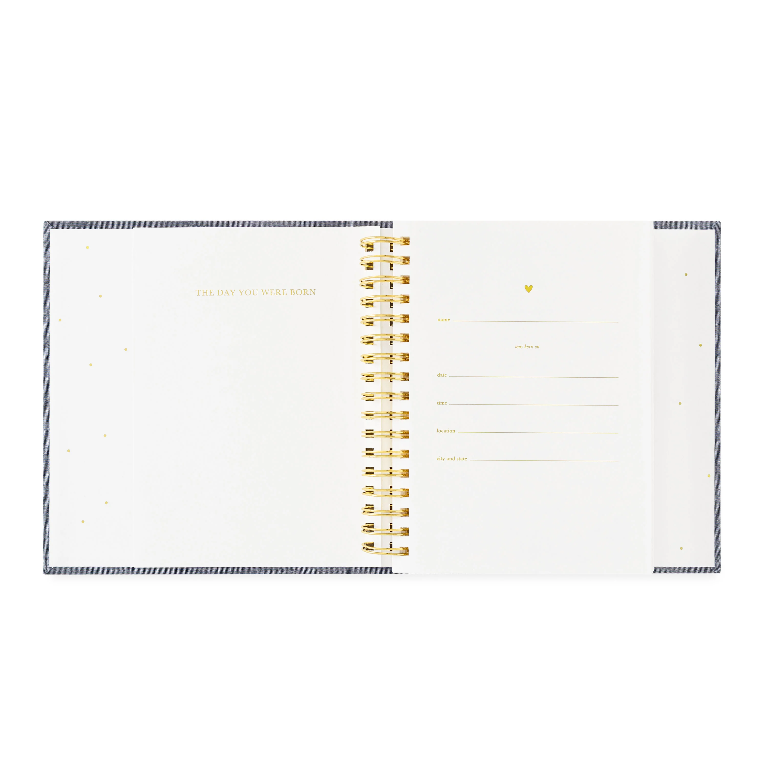 Flax Birthday Book - Image 7