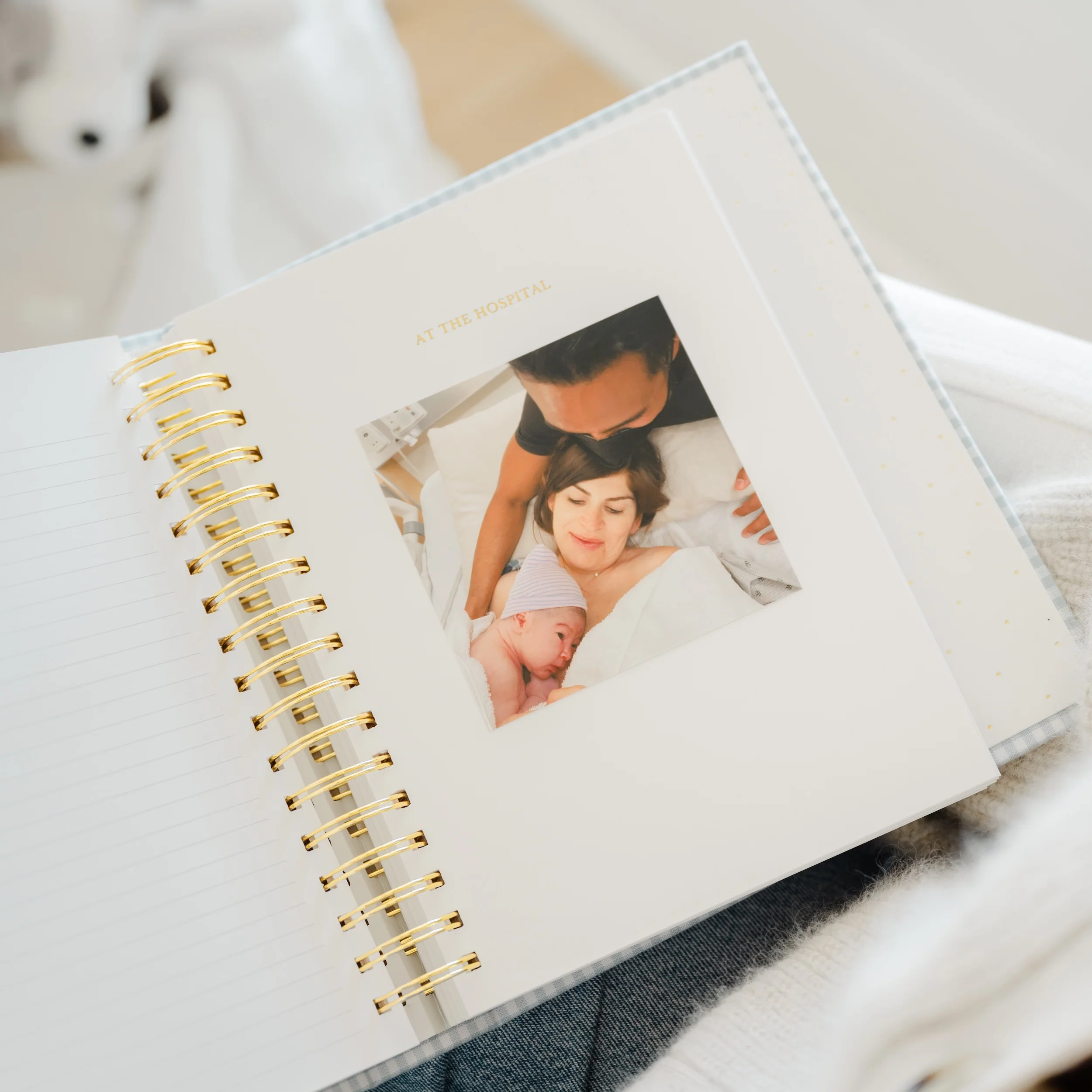 Blue Gingham Sugar Paper x Maisonette Baby Book - Image 13