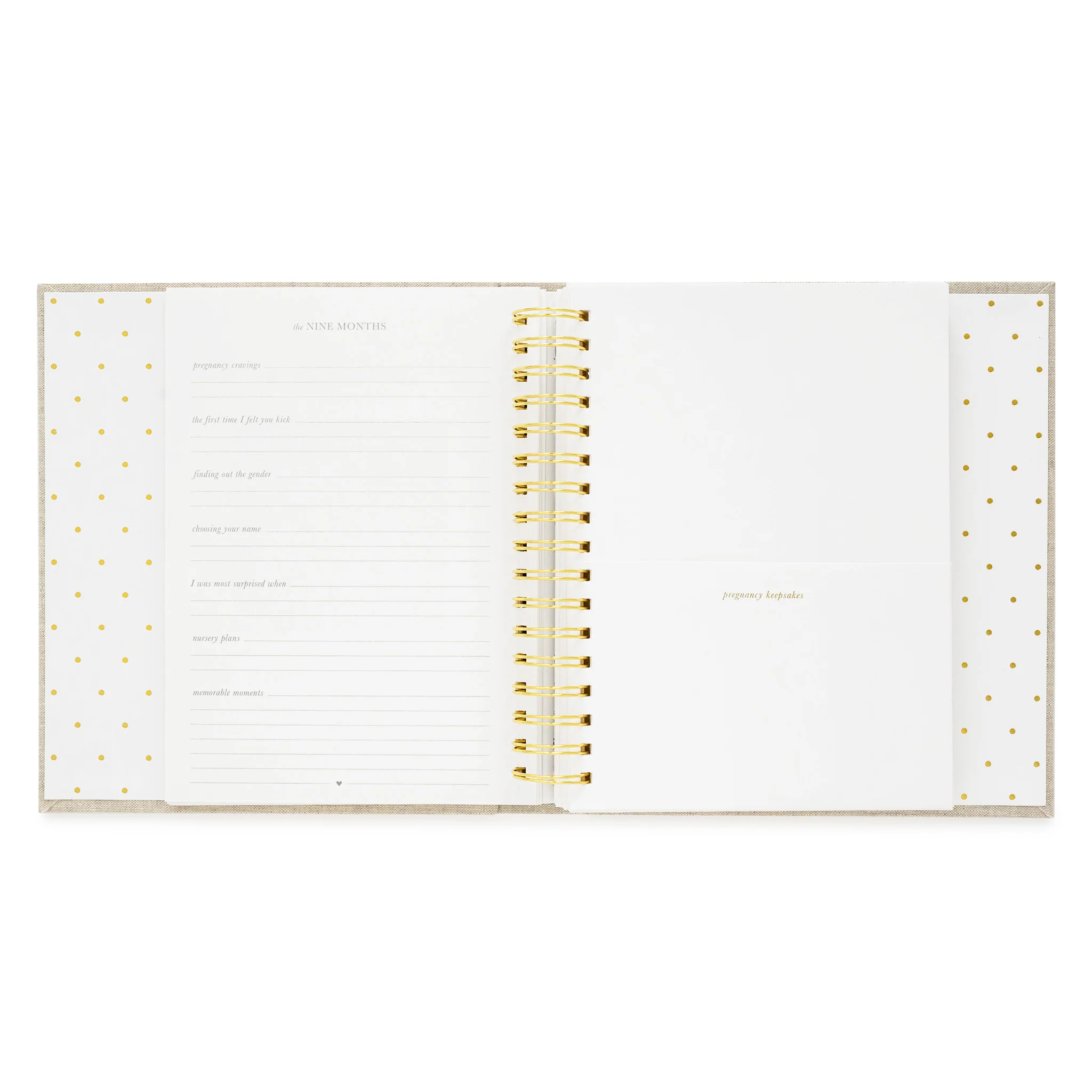 Blue Gingham Sugar Paper x Maisonette Baby Book - Image 7